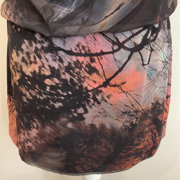 One of Kind Gorgeous Scenic Dress - Picture 4 of 8